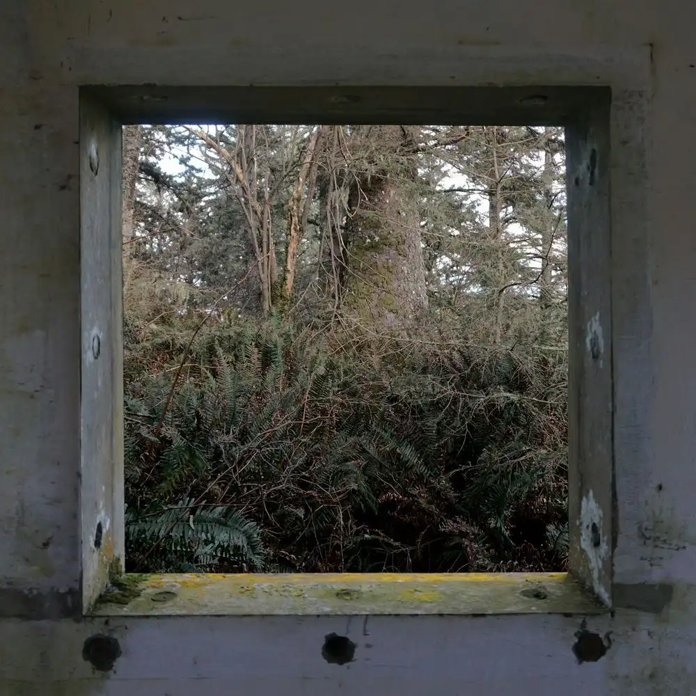 DEREK HUNTER WILSON / SCULPTURES [LP]