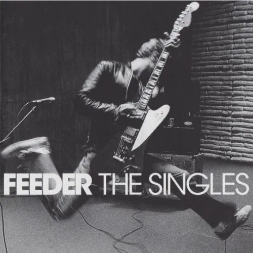 FEEDER / フィーダー / THE SINGLES (TRANSPARENT PINK VINYL)