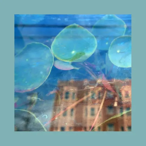 REDS, PINKS AND PURPLES / ACKNOWLEDGE KINDNESS (CD)