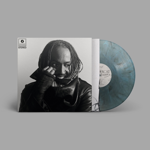 THUNDERCAT / サンダーキャット / DISTRACTED  (輸入盤LP)(ディスクユニオン限定/日本語帯付き/解説書封入/クリア/ターコイズ/ブラック・スプラッター・ヴァイナル)