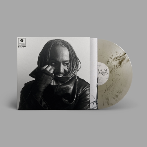 THUNDERCAT / サンダーキャット / DISTRACTED  (輸入盤LP)(数量限定/Indie Exclusive/クリア/ブラック・マーブル・スモークエフェクト・ヴァイナル)