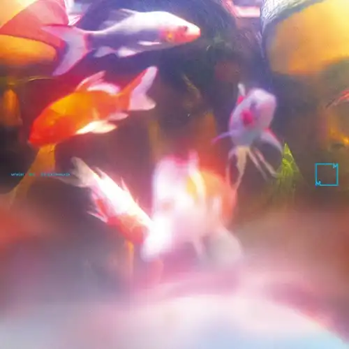 SY3 (KELLY GUAN/ALEX HO/PHIL CHO) / 梦游 SLEEPWALKER