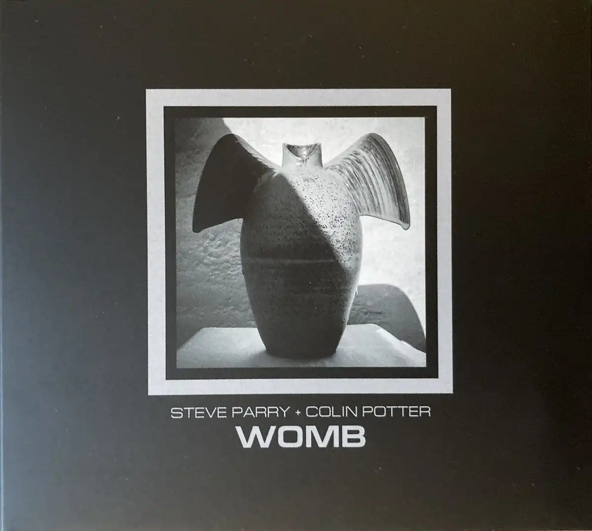 STEVE PARRY & COLIN POTTER / WOMB [CD]