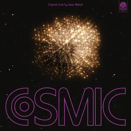 洋楽 KONFLIC WORLD COSMIC CONSCIOUSNESS (LP)/SEAN WOLCOTT/ショーン・ウォルコット