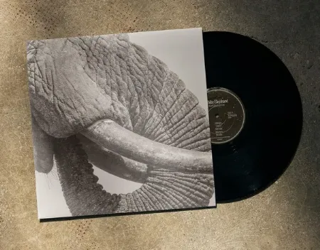 VINYL｜SOUL / BLUES｜ディスクユニオン・オンラインショップ