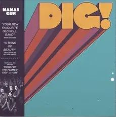 MAMAS GUN / ママズ・ガン / DIG! (輸入盤LP)
