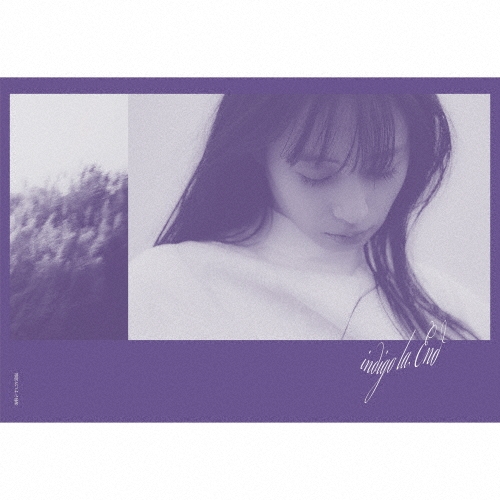 indigo la End CDセット(計24枚) indigo la End商品一覧｜JAPANESE ROCK・POPS / INDIES｜ディスク