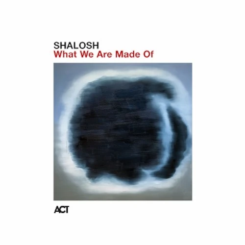 SHALOSH / シャローシュ / What We Are Made Of(LP)