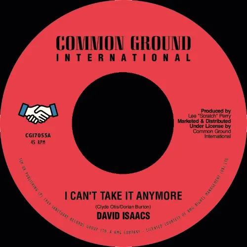 DAVID ISAACS / I CAN'T TAKE IT ANYMORE
