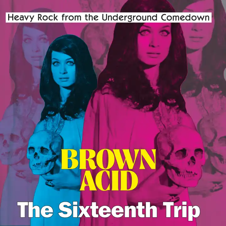 V.A. (BROWN ACID) / BROWN ACID - THE SIXTEENTH TRIP (LP)