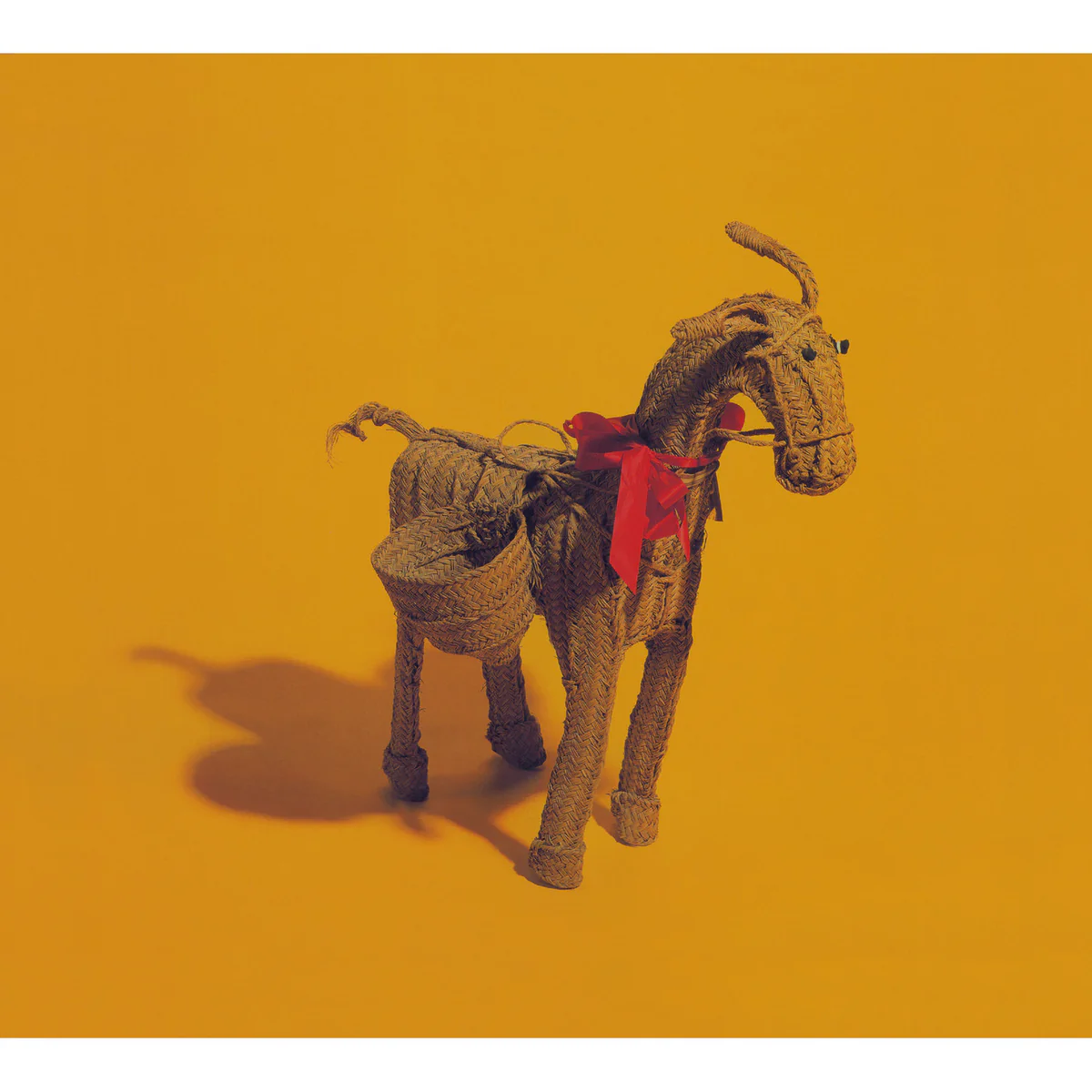 STRAW DONKEY THE COMPLETE SINGLES (CD+DVD)/CARTER THE