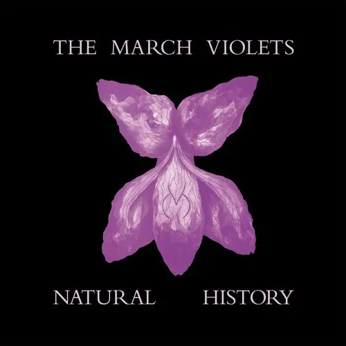 MARCH VIOLETS / NATURAL HISTORY (VIOLET VINYL)【RECORD STORE DAY 2026.04.18】