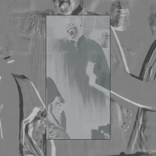 V.A. (DEATH IS NOT THE END) / HAVE YOU HEARD ABOUT THE WORLD COMING TO AN END? (LP)