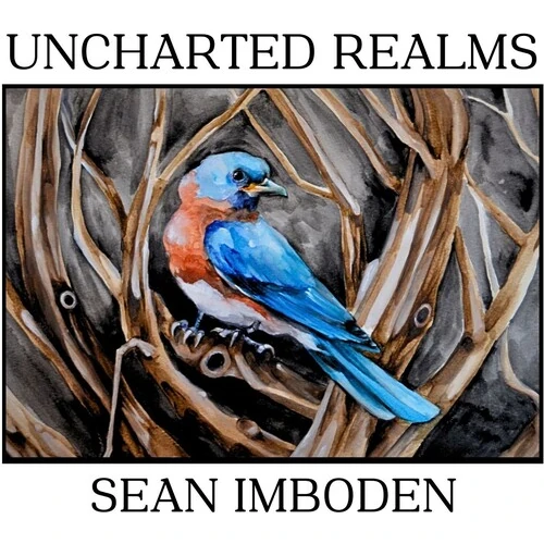 SEAN IMBODEN / Uncharted Realms