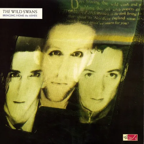 WILD SWANS / BRINGING HOME THE ASHES (CRYSTAL CLEAR VINYL)