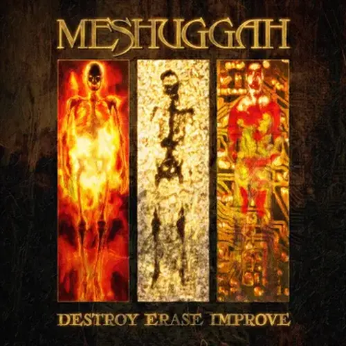 MESHUGGAH / メシュガー / DESTROY ERASE IMPROVE [2LP] (SUNFLARE VINYL, 30TH ANNIVERSARY EDITION, LIMITED TO 2000, INDIE-EXCLUSIVE)