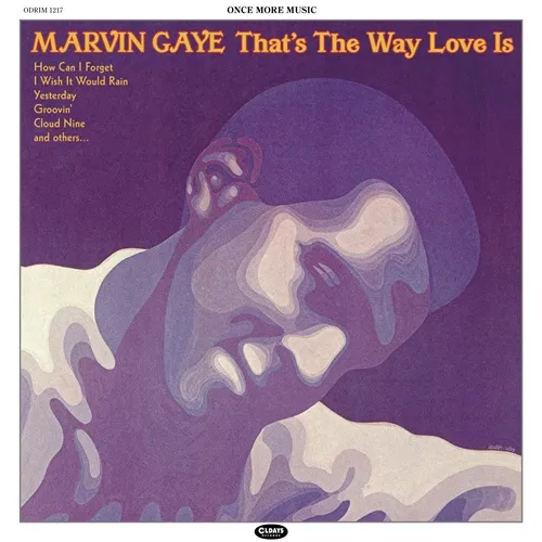 ザッツ・ザ・ウェイ・ラヴ・イズ(紙ジャケ/帯解説付き)/MARVIN GAYE
