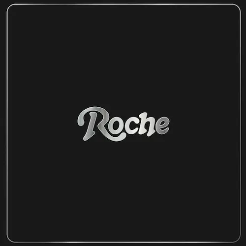 V.A. (ROCHE MUSIQUE) / ROCHE MUSIQUE: BACK TO THE GROOVE (2LP)