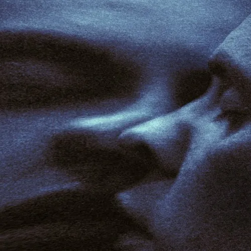 PUMA BLUE / CROAK DREAM 帯付きアナログ盤 CROAK DREAM (LP)/PUMA BLUE/ 現実か夢か、米アトランタ拠点