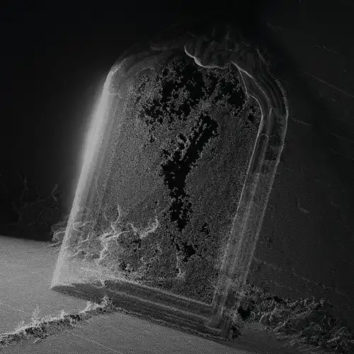 VISIBLE CLOAKS / ビジブル・クロークス / Paradessence (国内盤CD)