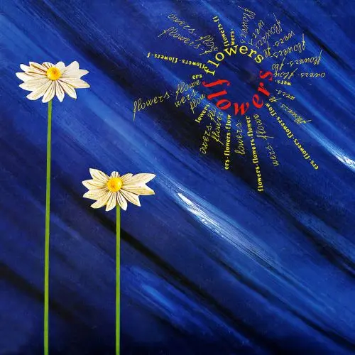 LUCIANO SIMONCINI / ルチアーノ・シモンチーニ / FLOWERS