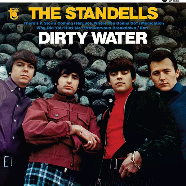 STANDELLS / スタンデルズ / DIRTY WATER (LP)