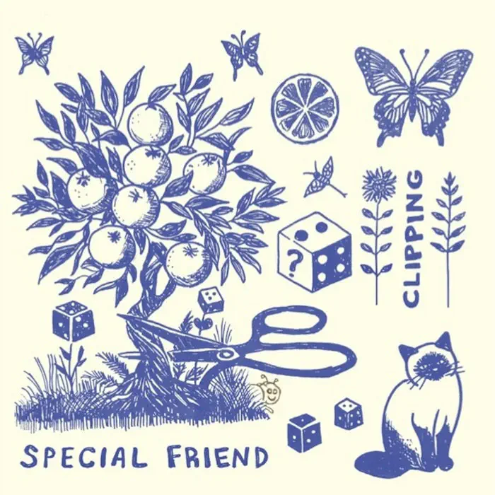 SPECIAL FRIEND / CLIPPING