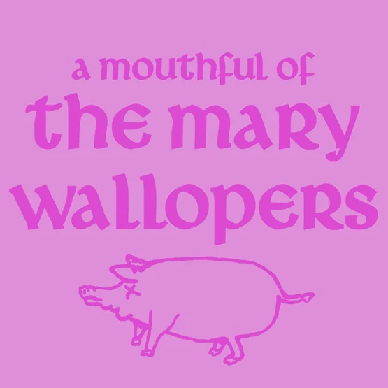 MARY WALLOPERS / A MOUTHFUL OF MARY WALLOPERS (10) 【RECORD STORE DAY 2026.04.18】