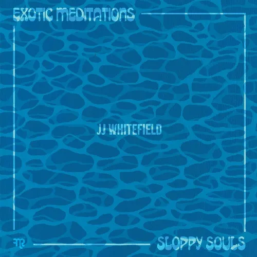 JJ WHITEFIELD / JJ・ウィットフィールド / EXOTIC MEDITATIONS / SLOPPY SOULS(LP)