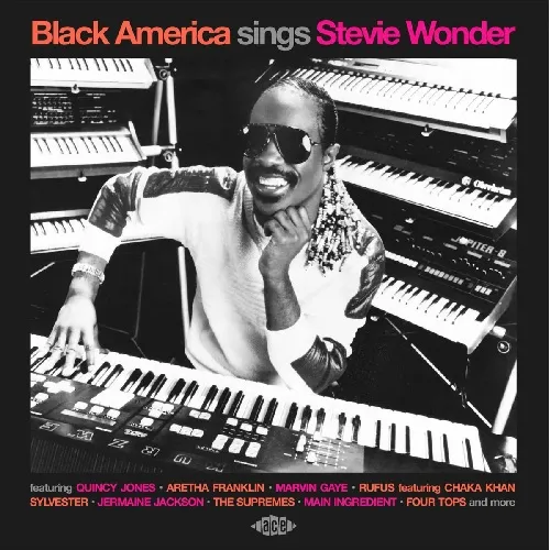 V.A. (BLACK AMERICA SINGS STEVIE WONDER) / BLACK AMERICA SINGS STEVIE WONDER