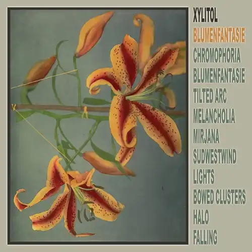 XYLITOL / BLUMENFANTASIE (LP)