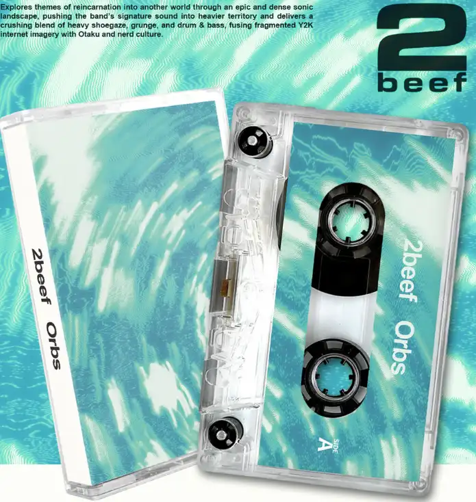 シューゲイザー｜JAPANESE ROCK・POPS / INDIES｜ディスクユニオン