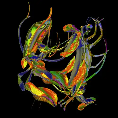 新入荷一覧/TECHNO｜CLUB / DANCE｜ディスクユニオン・オンライン