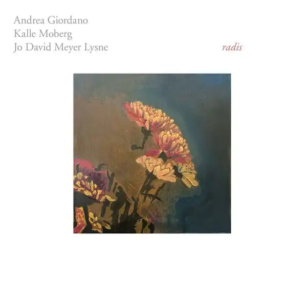 RADIS [LP]/ANDREA GIORDANO / KALLE MOBERG / JO DAVID MEYER LYSNE