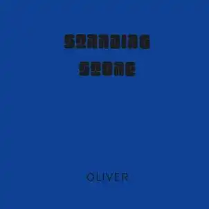 GARAGE / PSYCHE｜OLD ROCK｜ディスクユニオン・オンラインショップ