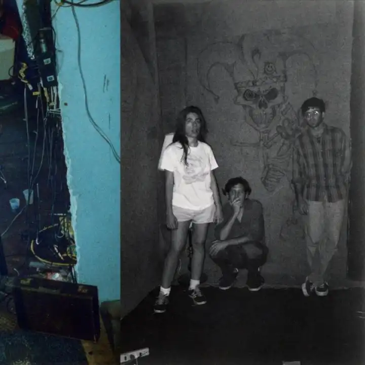 HARRY PUSSY / YOU'LL NEVER PLAY THIS TOWN AGAIN [LP]