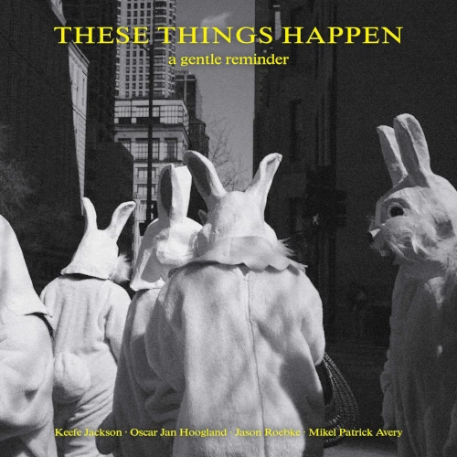 THESE THINGS HAPPEN / Gentle Reminder(LP)