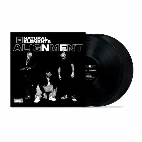 FAT LOOP Vinyl Edition ヒップホップレコード FAT LOOP / VINYL EDITION
