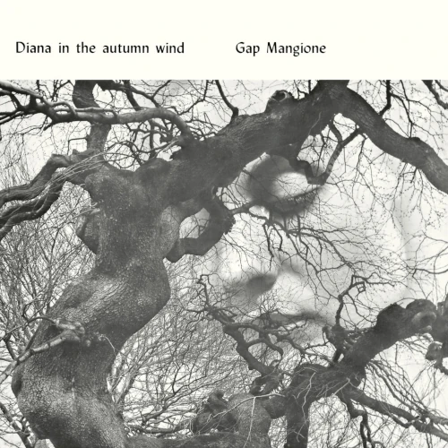 GAP MANGIONE / ギャップ・マンジョーネ / Diana In The Autumn Wind(LP)