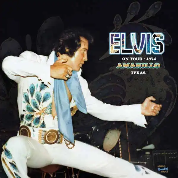 ELVIS PRESLEY / エルヴィス・プレスリー / ON TOUR 1974 - AMARILLO TEXAS (2LP)