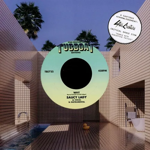SAUCY LADY ソーシィー・レディー / WHY (7")