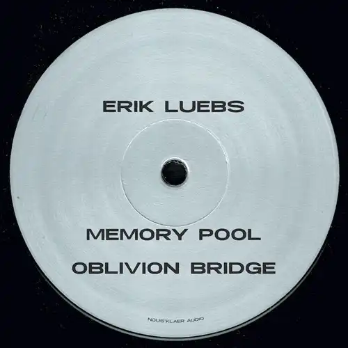 ERIK LUEBS / REVERSING TIME