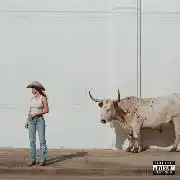 KACEY MUSGRAVES / ケイシー・マスグレイヴス / MIDDLE OF NOWHERE (CD)