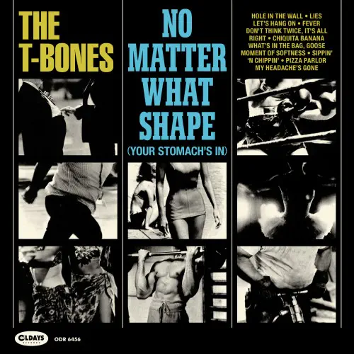 T-BONES / T・ボーンズ / ノー・マター・ホワット・シェイプ (ナナジャケ・スリム・エディション)
