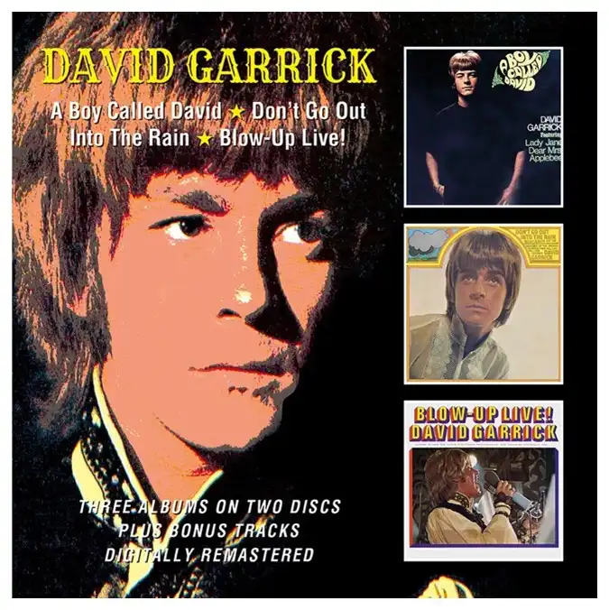DAVID GARRICK / デヴィッド・ギャリック / A BOY CALLED DAVID + DON'T GO OUT INTO THE RAIN + BLOW-UP LIVE! + BONUS TRACKS (2CD)