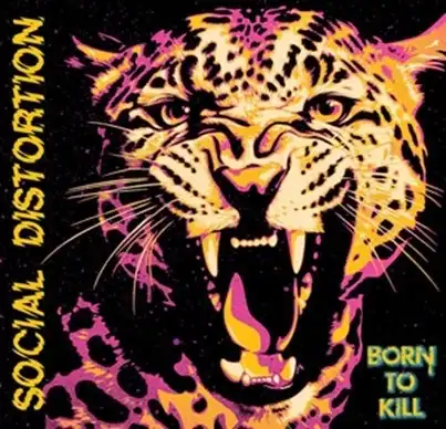ノット・ア・プリティ・サイト／スキン＆ボーンズ　日本盤CD BORN TO KILL (国内盤CD)/SOCIAL DISTORTION/ソーシャル