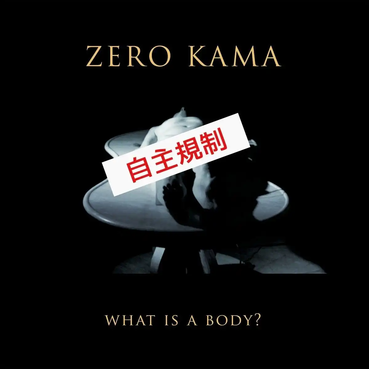 ZERO KAMA / WHAT IS A BODY [LP - BLACK]