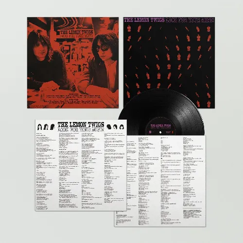 LEMON TWIGS / レモン・ツイッグス / LOOK FOR YOUR MIND ! (LP)