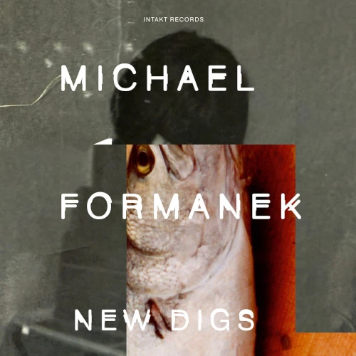 MICHAEL FORMANEK / マイケル・フォーマネク / New Digs