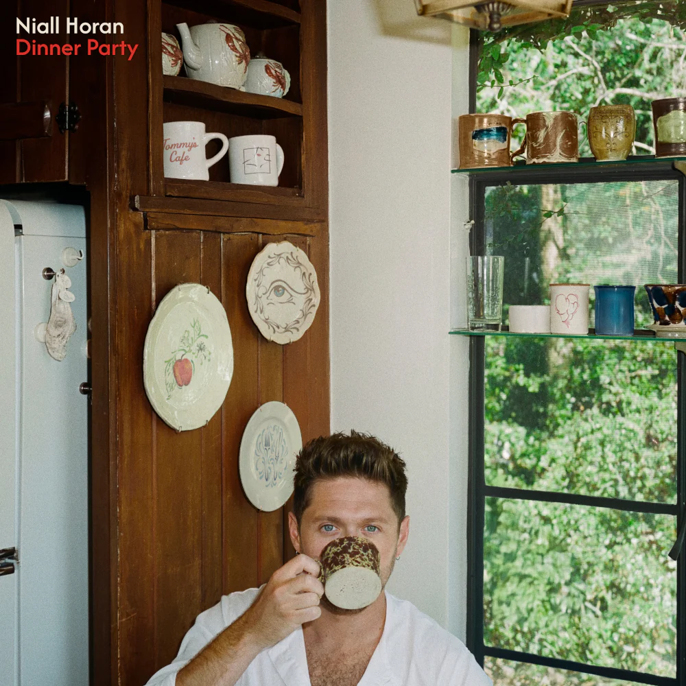 NIALL HORAN / ナイル・ホーラン / DINNER PARTY (CD)